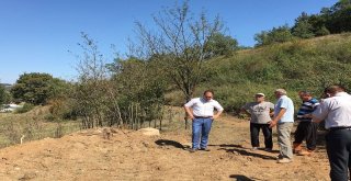 Demirköyde Islah Çalışmaları Başladı