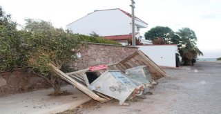 Kestane Karası Rüzgarı Hayatı Olumsuz Yönde Etkiliyor