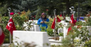 Şehit Yakınlarının Hüzünlü Bayramı