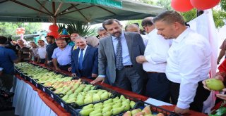 Gürsuda Armut Festivali Coşkusu