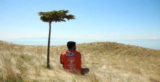 Tema Bitlis İl Temsilciliği Çalışmalarına Devam Ediyor