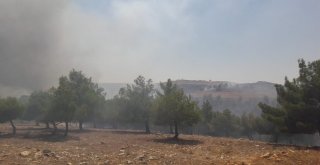 Dünyanın Bilinen En Eski Tapınaklarından Göbeklitepe Arkeolojik Alanı Yakınlarındaki Ormanlık Alanda Henüz Bilinmeyen Bir Nedenle Yangın Çıktı. Bölgeye Çok Sayıda İtfaiye Ekibi Sevk Edildi. Haliliye İ