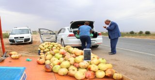 (Özel) Suruç Narı Tezgahlardaki Yerini Aldı