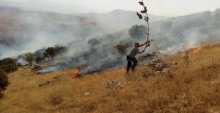 Piknikçilerden Kalma Küller Az Daha Beldeyi Yakıyordu