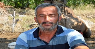 (Özel) Güreşçi ‘Yakışıklı Sülo Kurbanlık Yolunda