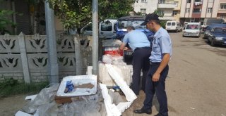 Fatsa Belediyesinden Çöp Uyarısı