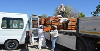 Kırıkkalede 397 Genç Çiftçiye 1,9 Milyon Tl Hibe Desteği Verildi