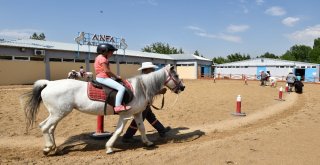 Altınparkta Midilli Keyfi