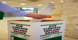 Yenimahallenin Çevreci Muhtarları Yarışıyor