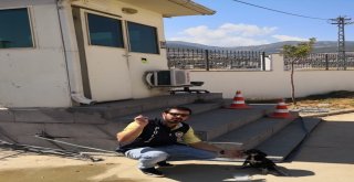 Polislerden Yaralı Köpeğe Şefkat Eli