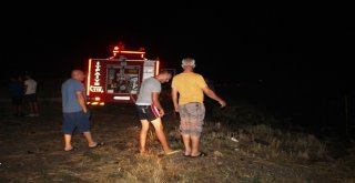 Ayvalıkta Orman Yangını