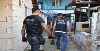 Antalyada Hava Destekli Eş Zamanlı Uyuşturucu Operasyonu