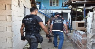 Antalyada Hava Destekli Eş Zamanlı Uyuşturucu Operasyonu