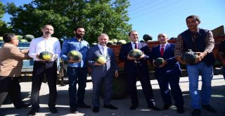 Kahramankazan Kavunu Pazara İndi