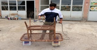 Kestane Ağaçları Bambu Mobilyalara Dönüşüyor
