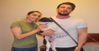 Köpeğine İşkence Ettiği İddiası Mahalleyi Karıştırdı