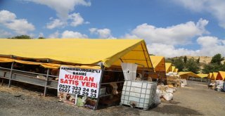 Eyüpsultan, Kurban Bayramına Hazır