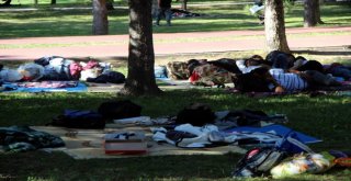 Savaştan Kaçarak Kayseriye Gelen Afgan Mültecilere Devlet Sahip Çıktı