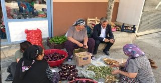Belediye Başkanı Tahmazoğlu Patlıcan Oydu