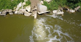 (Özel) Osbnin Atık Suları İle Kirlenen Sakarya Nehri Havadan Görüntülendi