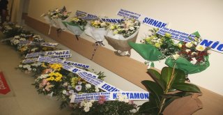 Dünyanın Her Yerinden Şanlıurfaya Çiçek Yağdı