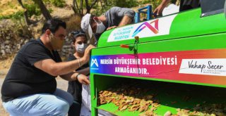 Mersin Büyükşehir Belediyesi'nin Tarıma Desteği Artarak Sürüyor