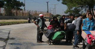 Bayramı Ülkelerinde Geçiren 7 Bin Suriyeli Türkiyeye Döndü