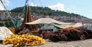 Balıkçılara Göre Palamut Yüz Güldürecek