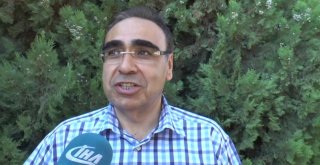 Gaziantepte Sahibinin Elinden Kaçan 17 Dana Yakalandı