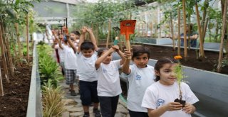 Bağcılarda Çocuklar Bitkilerle Arkadaş Oldu