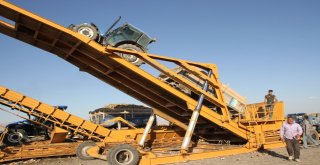 Malazgirtte Pancar Alımları Başladı