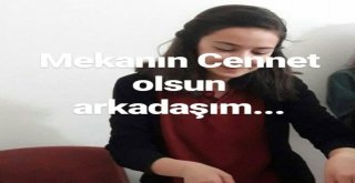 (Özel Haber) 12 Yaşındaki Çocuk Oyuncak Sandığı Silahla Ablasını Öldürdü