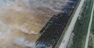 Çukurovada Mısır Hasadıyla Birlikte Anız Yangınları Da Başladı