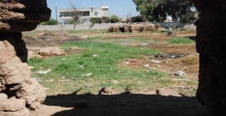 Yazın Ortasında Kışı Yaşıyorlar