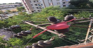 Vedaştan ‘Kuşkonmaz Montajı Ve Orta Gerilim İzolasyon Çalışması