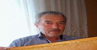 Orduda Trafik Kazası: 1 Ölü
