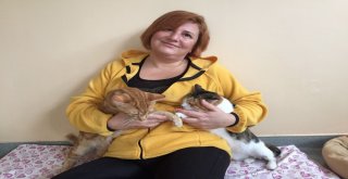 Bu Çiftlik Ölüme Terk Edilmiş Hayvanlara Umut Oluyor