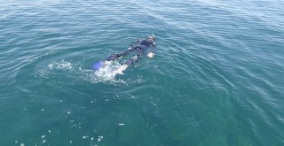 Van Gölünün Altında Yaşam Belirtileri