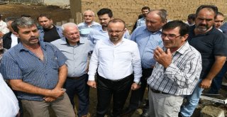 Turan, Evleri Yanan Aileleri Ziyaret Etti