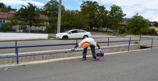 Karabük Belediyesi Çalışmalar Aralıksız Sürüyor