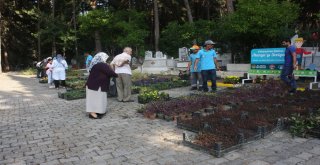 Alanya Belediyesi 21 Mezarlıkta 55 Bin Çiçek Dağıtacak