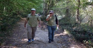 Kırklareli İğneada Longoz Ormanlarında Eko Turizm