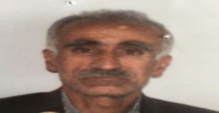 Çınardan Taziye Mesajı