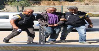 Alanyada Plaj Faresi Yakalandı