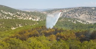 Hırsızların Yaktığı Kablolar 10 Dönüm Alanı Küle Çevirdi