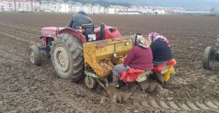 Ödemiş Sütü 649 Milyonluk İşlem Hacmiyle Birinci