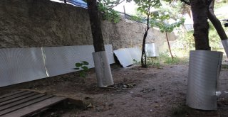 Çeliki Bulan Bin Liranın Sahibi Olacak