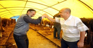 Başkentliler Yakacıkta Pazarlığa Tutuştu