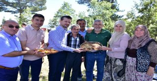 Dereyalak Mercimeği Hasattan Önce Bitiyor