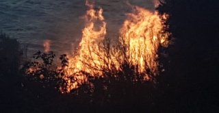 Bandırmada Makilik Alanda Yangın